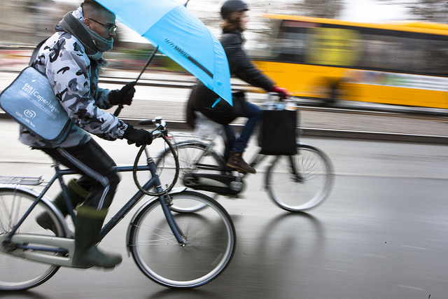Cyklist Kopenhamn webb